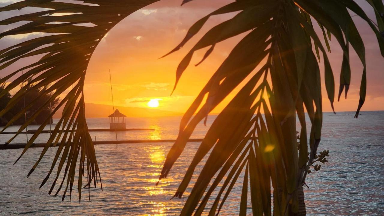 Sand And Tan Beach Hotel Ocho Rios Exterior photo